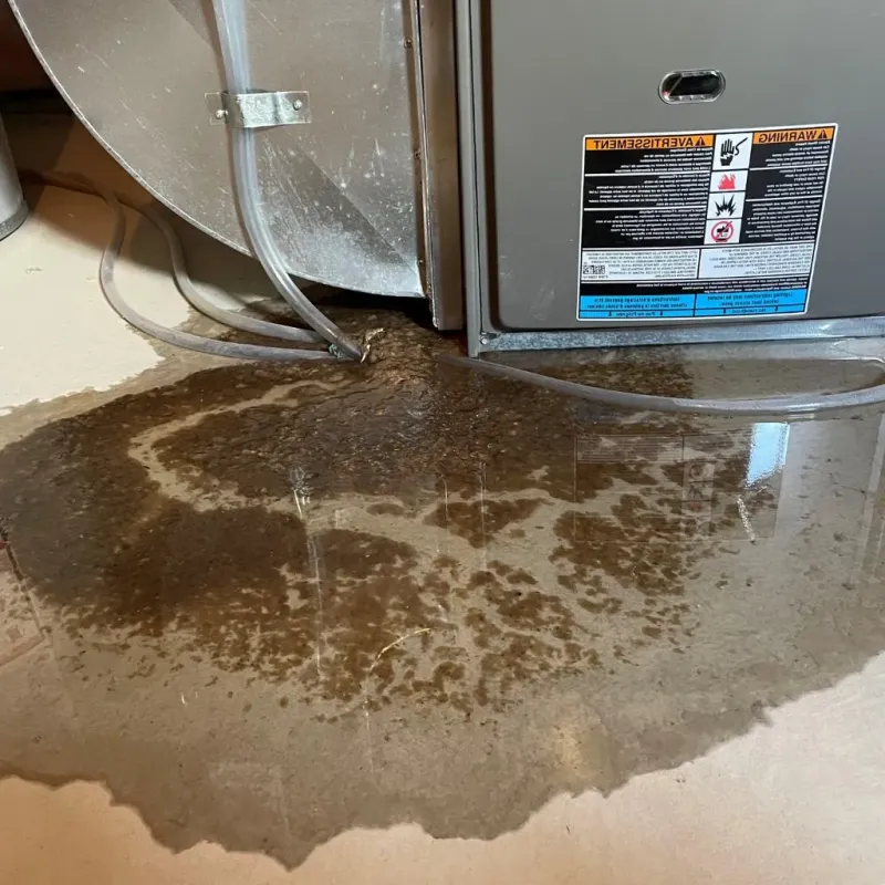Pipe Burst and Leak Restoration in Trenton, NJ