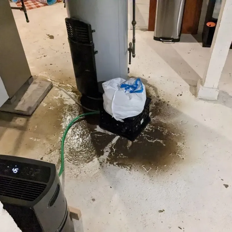 Sewage Backup Cleanup Service in Trenton, NJ